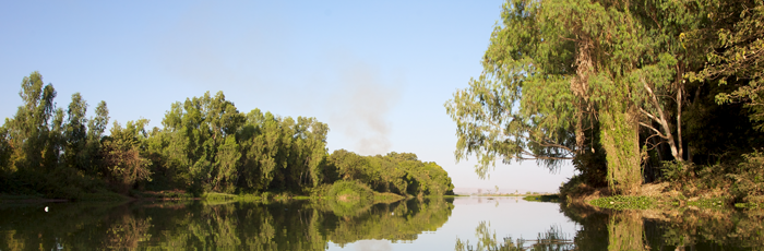 a river scene with trees either side