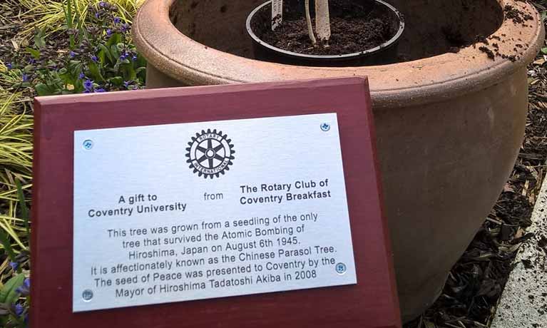 Hiroshima bombing sapling planted at Coventry University