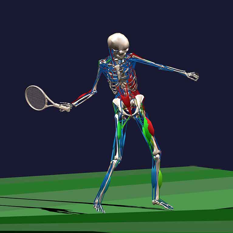 picture of a human skeleton playing tennis to demonstrate posture and muscle alignment in motion