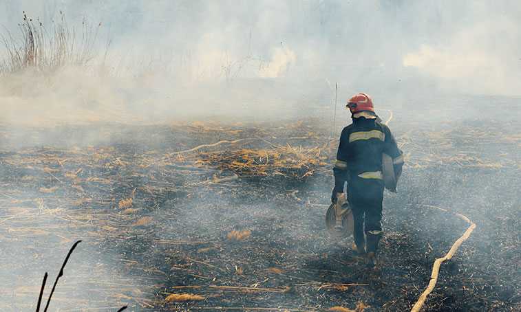 fireman on a scorched field