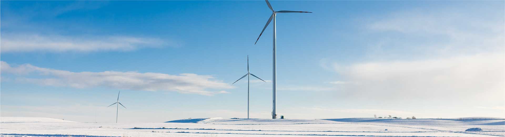 Intelligent Wind Turbines for Cold Climates