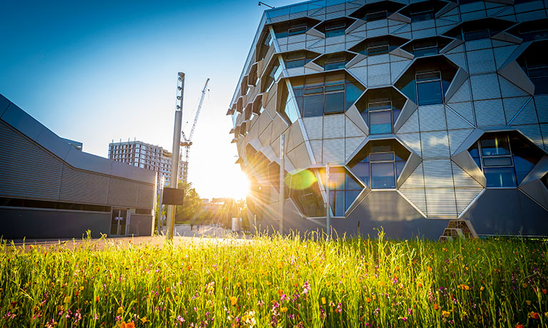 Outside of the Frank Whittle building on a summer day