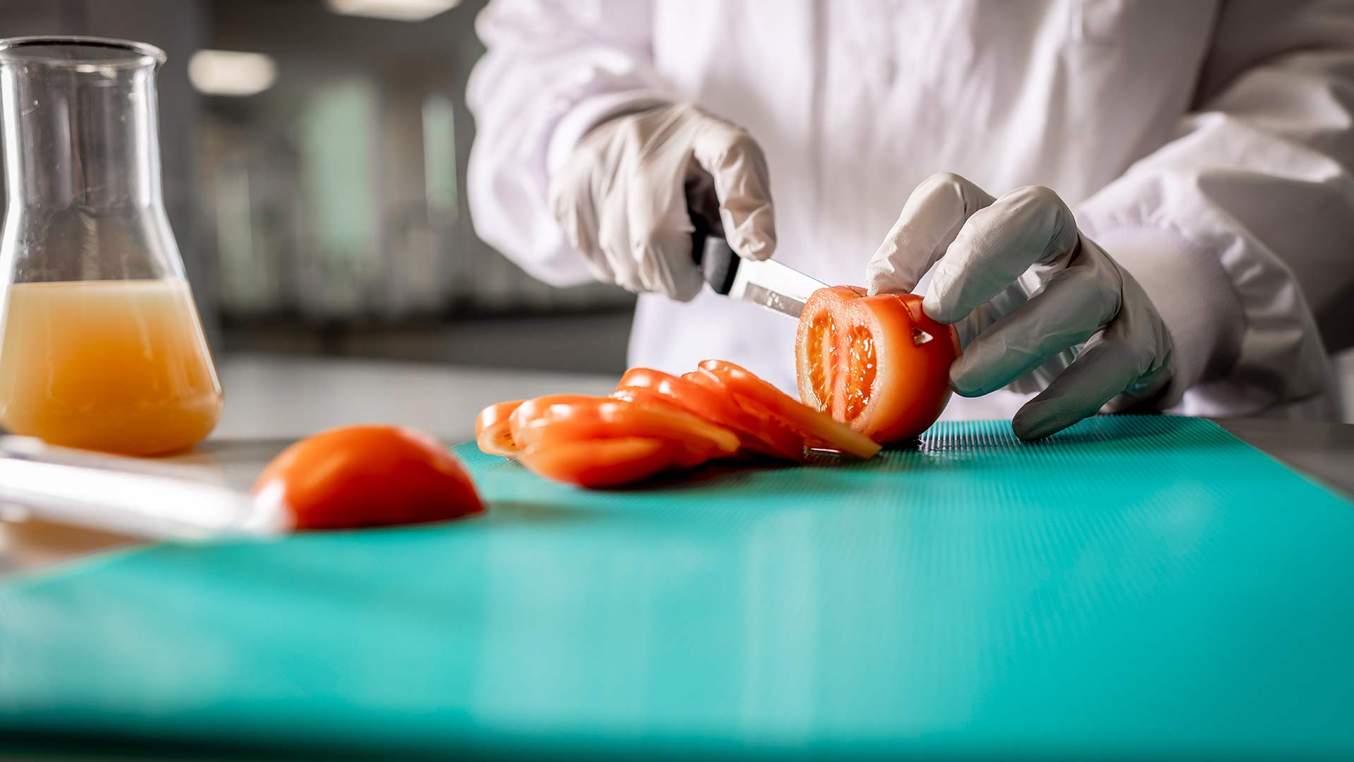 close up of a person in lab coat and gloves cutting up a tomato