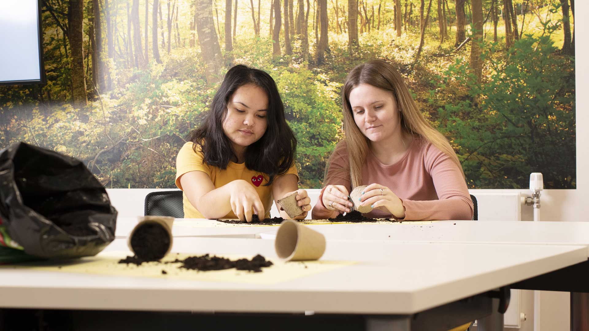 group of students working together against a forest mural background