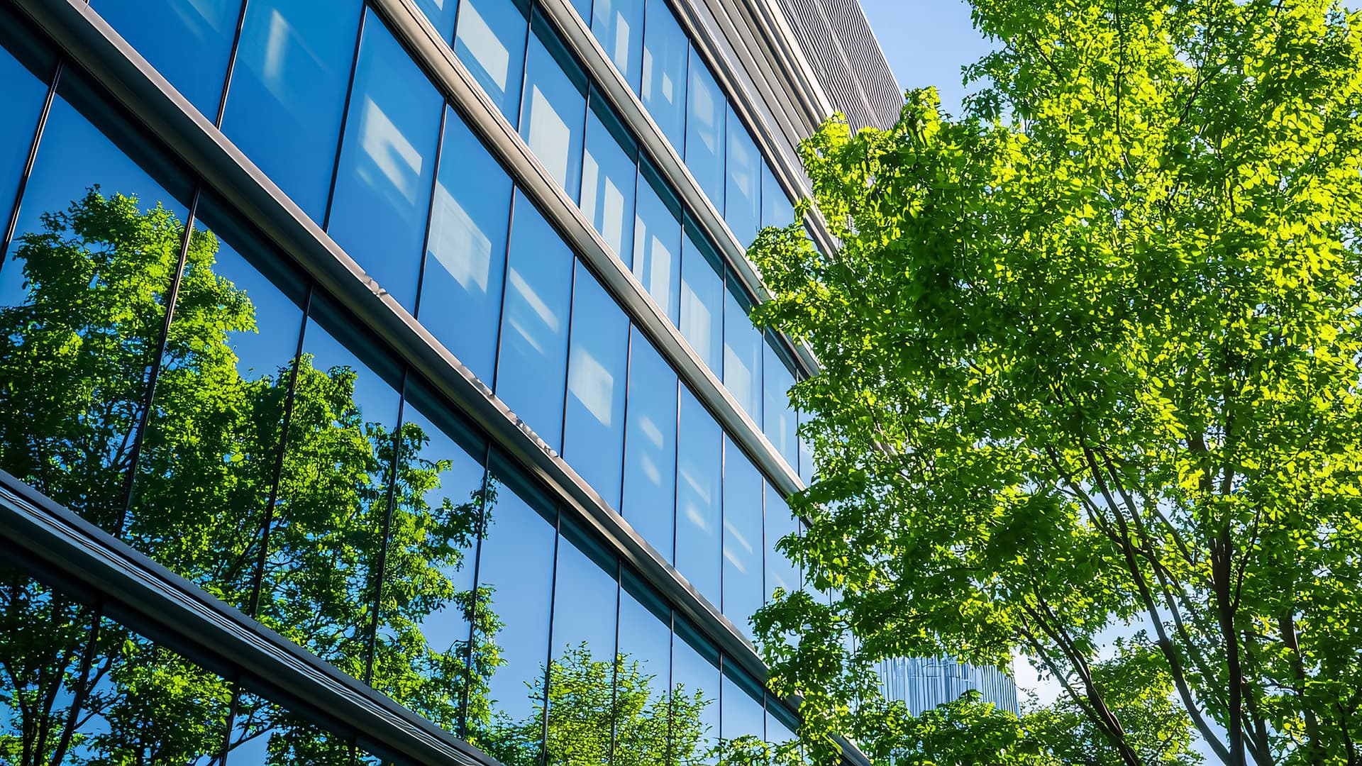 Modern office building with a glass facade and a large tree in the foreground