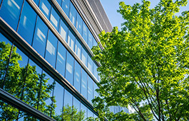 Modern office building with a glass facade and a large tree in the foreground