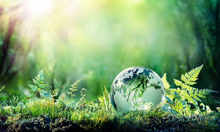 glass globe on the grass