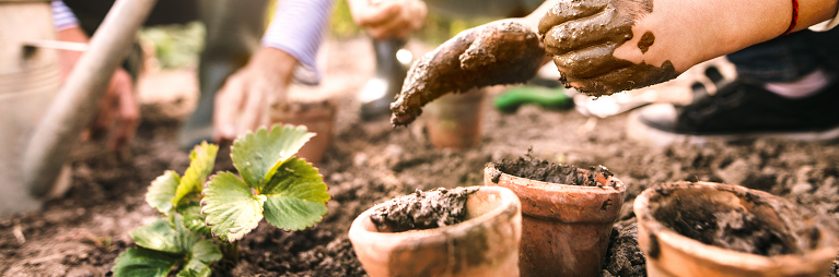 Urban Village: The Roma Allotment Project