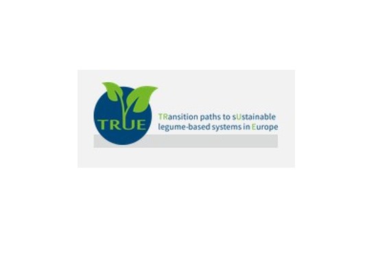 TRUE project logo