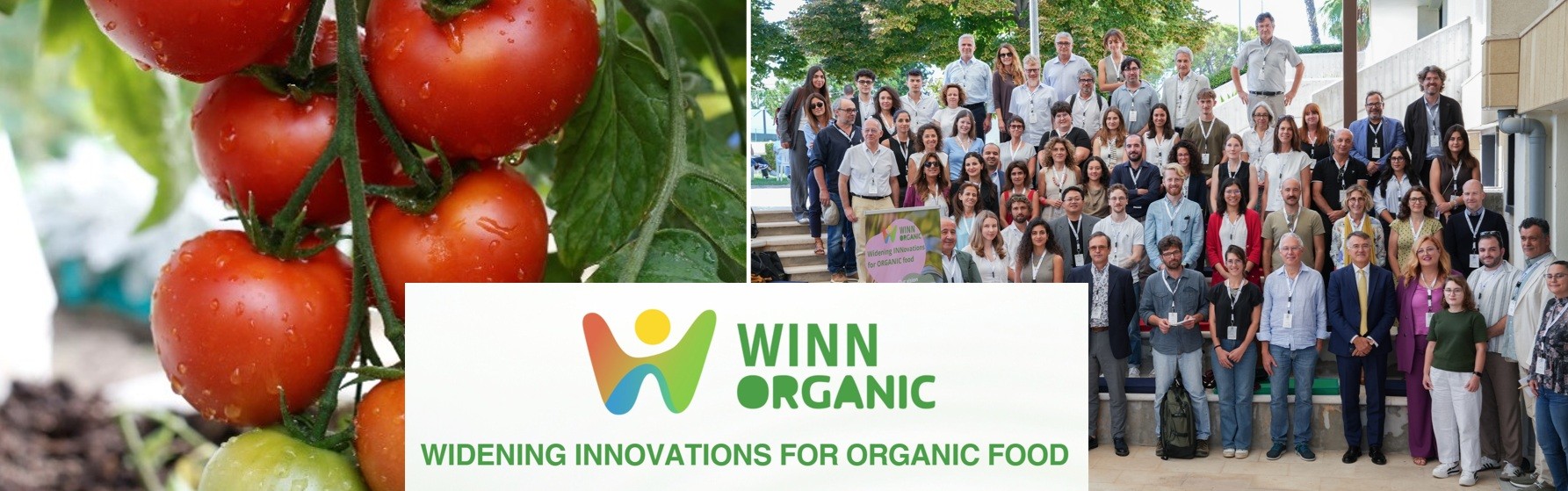 WINN-ORGANIC