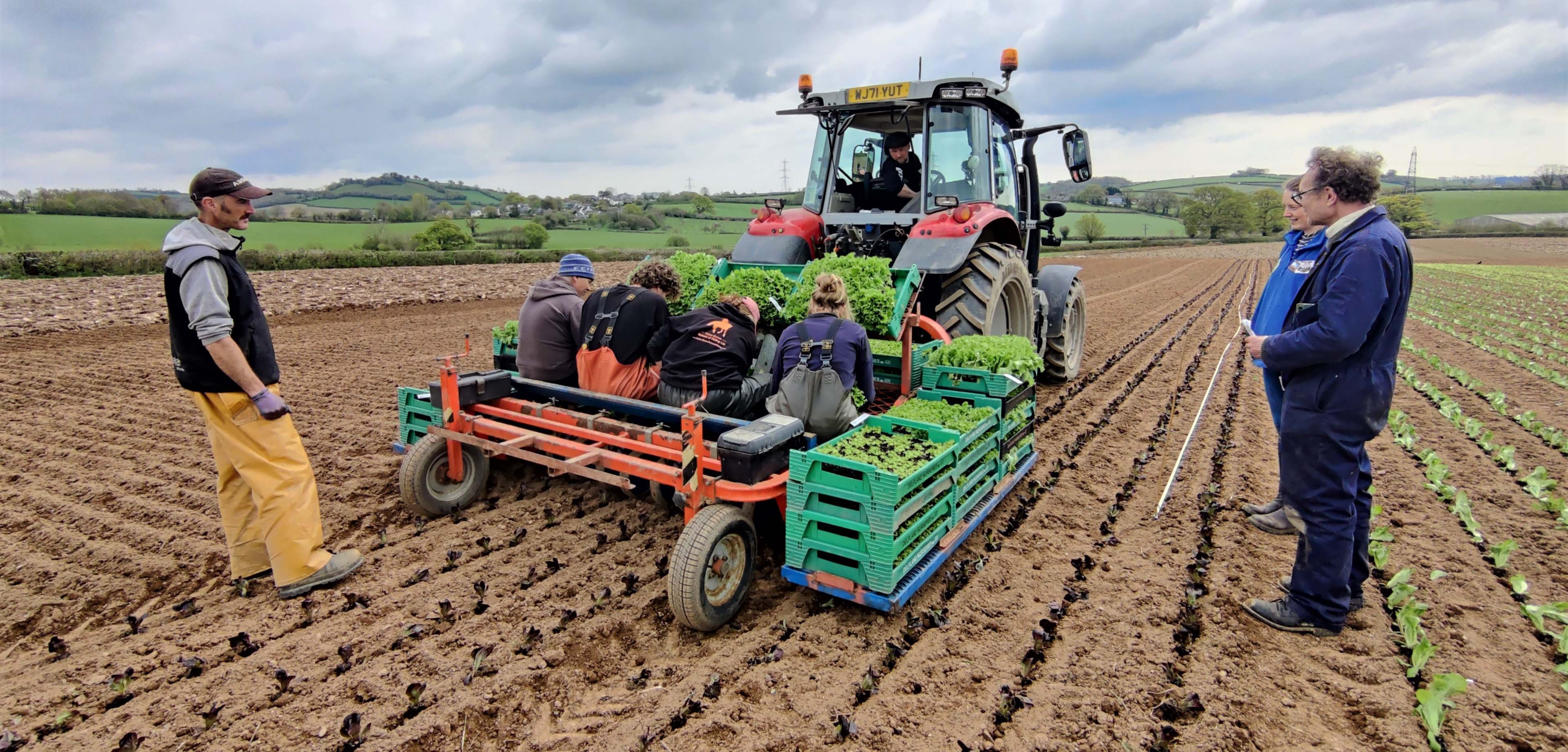 2 men and a tractor in a field planting