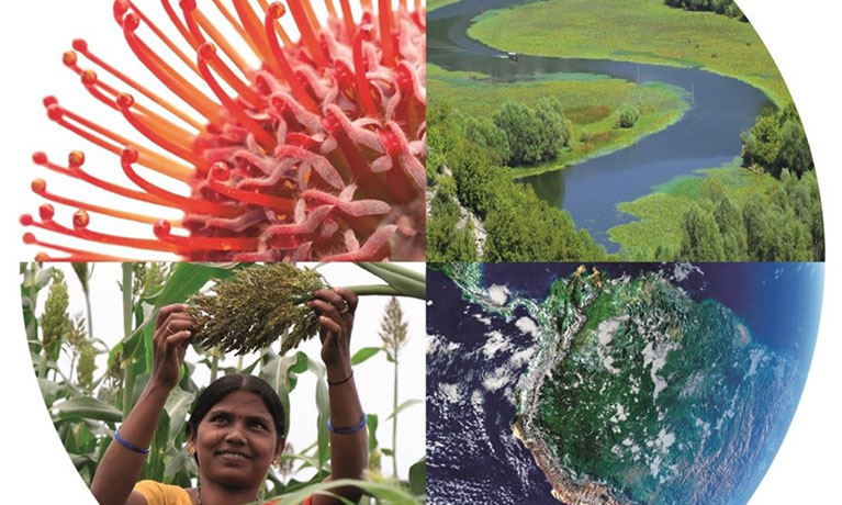 a circle made of images of a flower, a river, the globe and a woman reaching for a plant