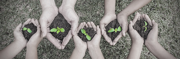 Co-developing a Social Impact Toolkit for Community Food Businesses