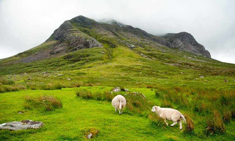 Scottish uplands