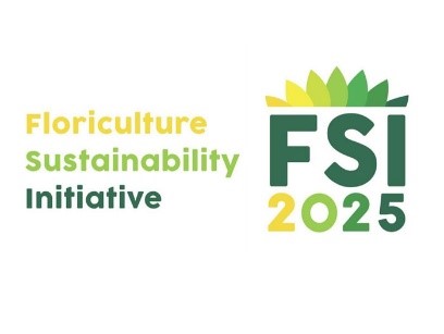 FSI logo