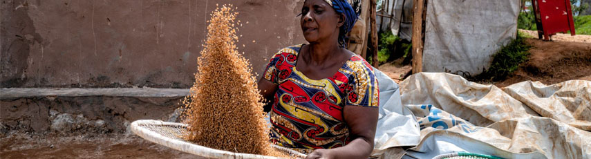 woman cooking