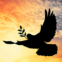 Silhouette of a peace dove against sunset