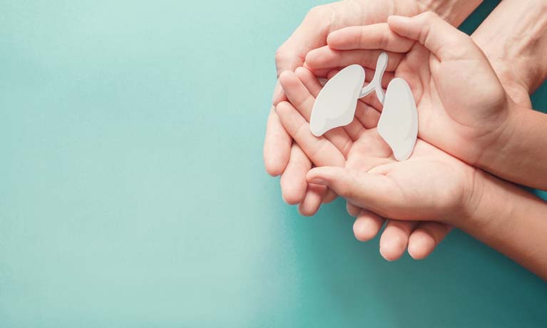 Adult and child hands holding lung