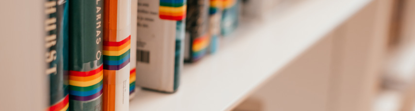 Books sat on a shelf with colourful spines