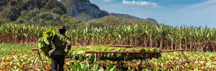 Green Entrepreneurs in Cuba – Evaluation of a collaborative initiative to strengthen Small Scale Private Sector Initiatives in Rural Cuba