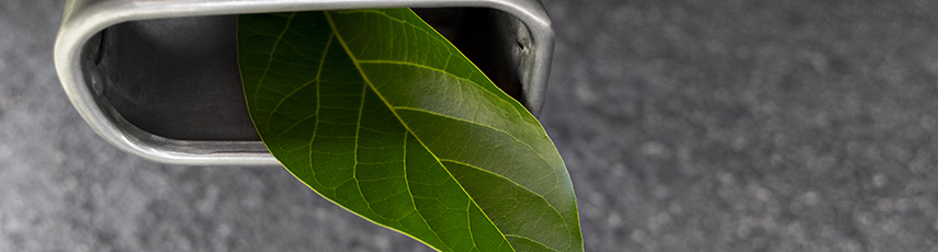 Green leaf in a car exhaust