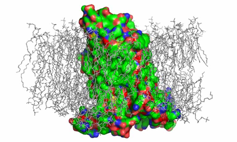 GPCR:RAMP