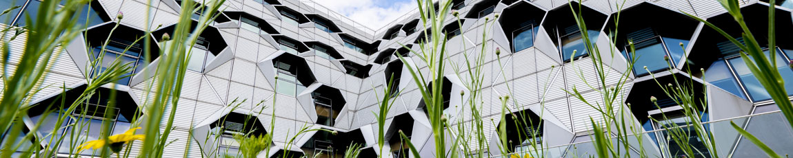 External view of the Engineering and Computing building, with grass and flowers in the foreground.