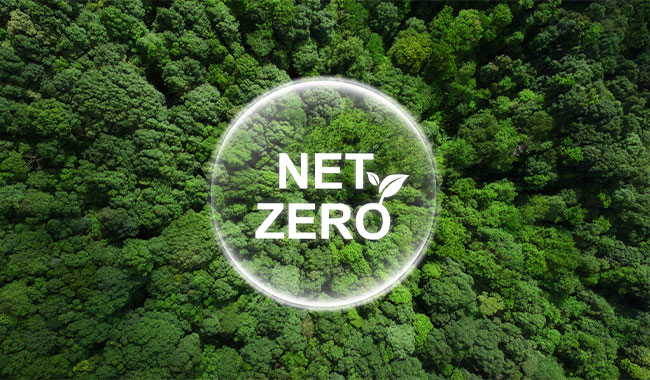 Words net zero in a bubble surrounded by trees