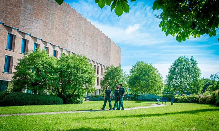 Exterior view of the Alison gingell building
