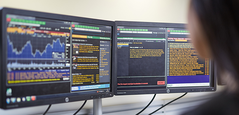 Student looking at statistics on a computer screen