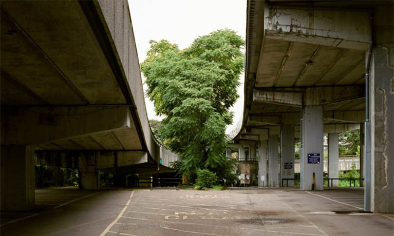 Concrete Collar by Tom Illsley