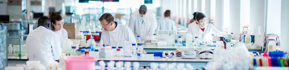 Students working in the superlab.