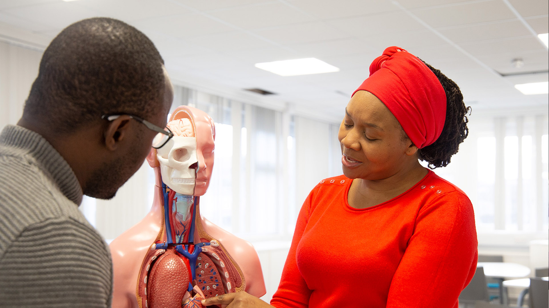 Two students looking at a human internal organ model