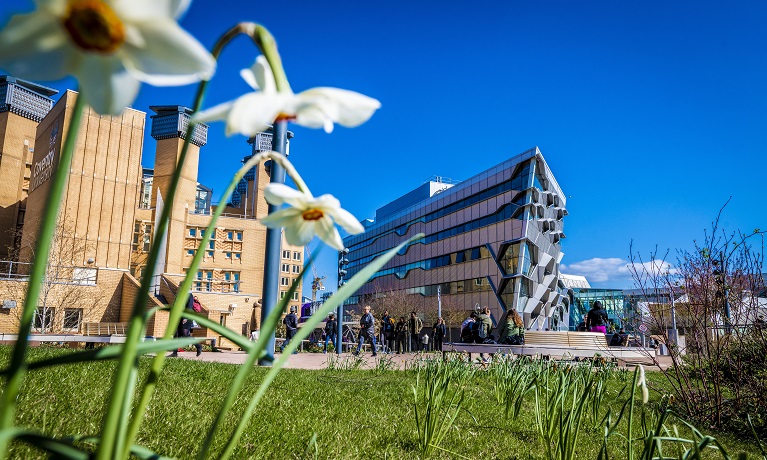 Coventry University's Library and Sir Frank Whittle building with daffodils in the foreground and blue sunny skies in the background