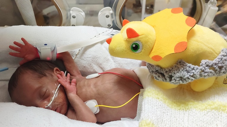 Maximus-Rex in his hospital crib